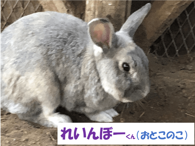 れいんぼーくん（おとこのこ）